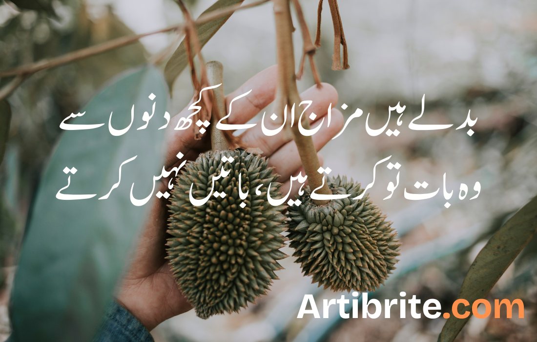 بدلے ہیں مزاج ان کے کچھ دنوں سے وہ بات تو کرتے ہیں، باتیں نہیں کرتے بدلے ہیں مزاج ان کے کچھ دنوں سےوہ بات تو کرتے ہیں، باتیں نہیں کرتے