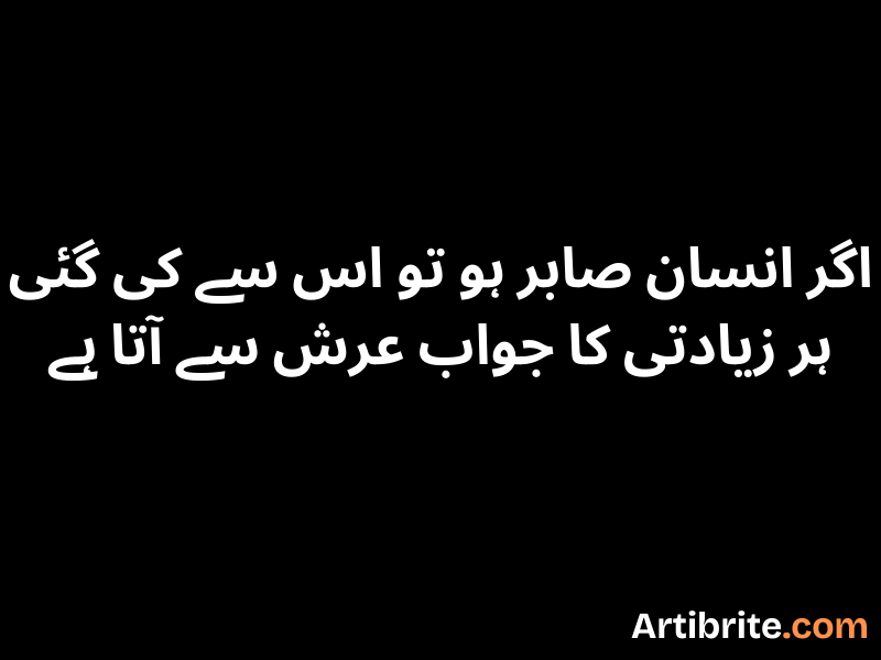 اگر انسان صابر ہو تو اس سے کی گئی ہر زیادتی کا جواب عرش سے آتا ہے اگر انسان صابر ہو تو اس سے کی گئی ہر زیادتی کا جواب عرش سے آتا ہے