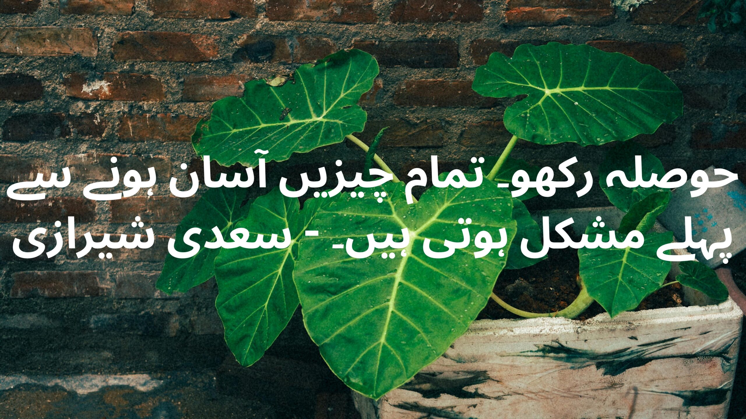 Have patience. All things are difficult before they become easy. - Saadi Shirazi